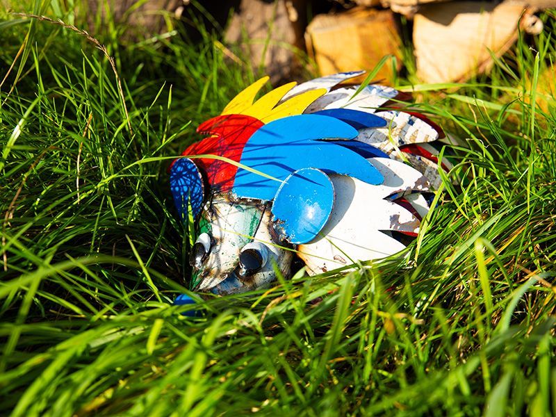 Harry The Hedgehog