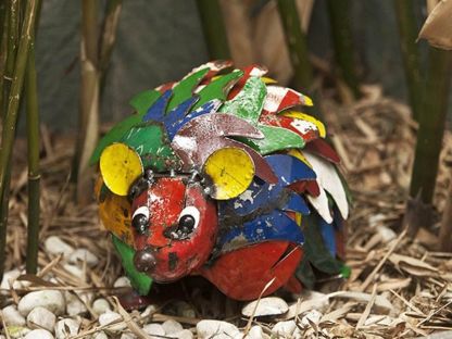 Harry The Hedgehog