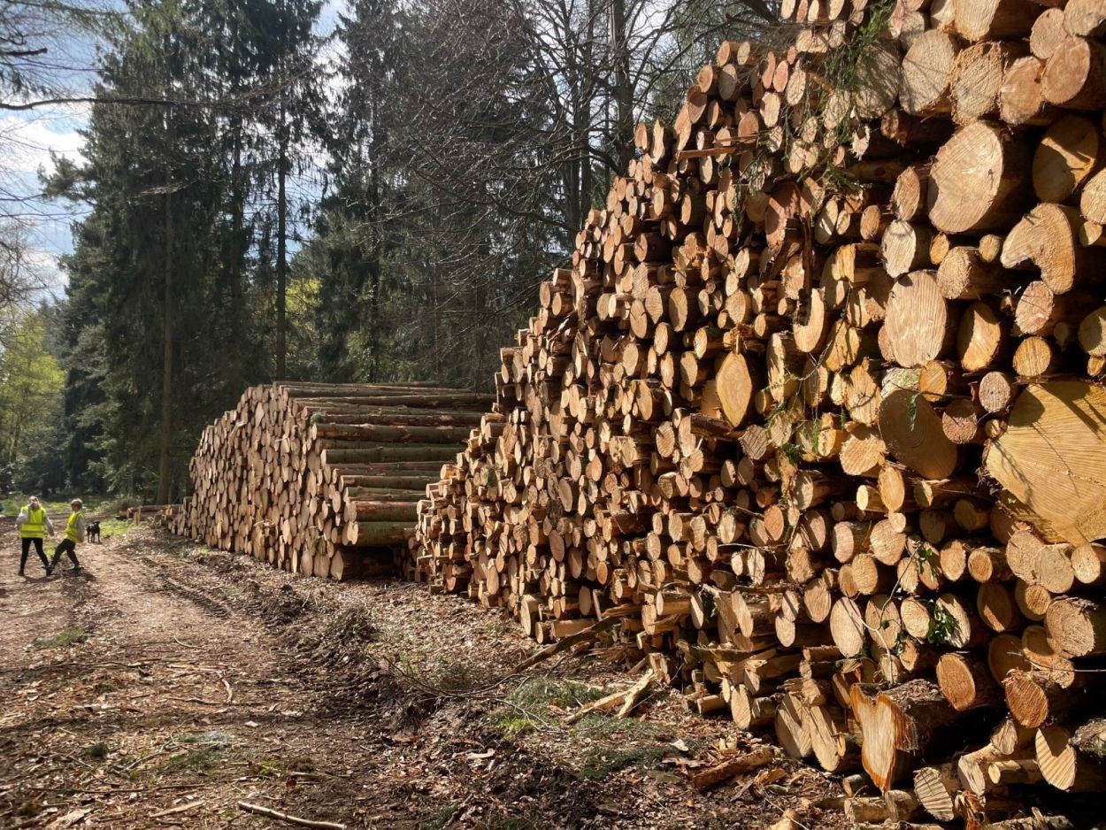 Hemlock 1.9M Picnic Table