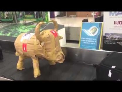 Baggies Bruce the Bull Cooler Large - Ex Display