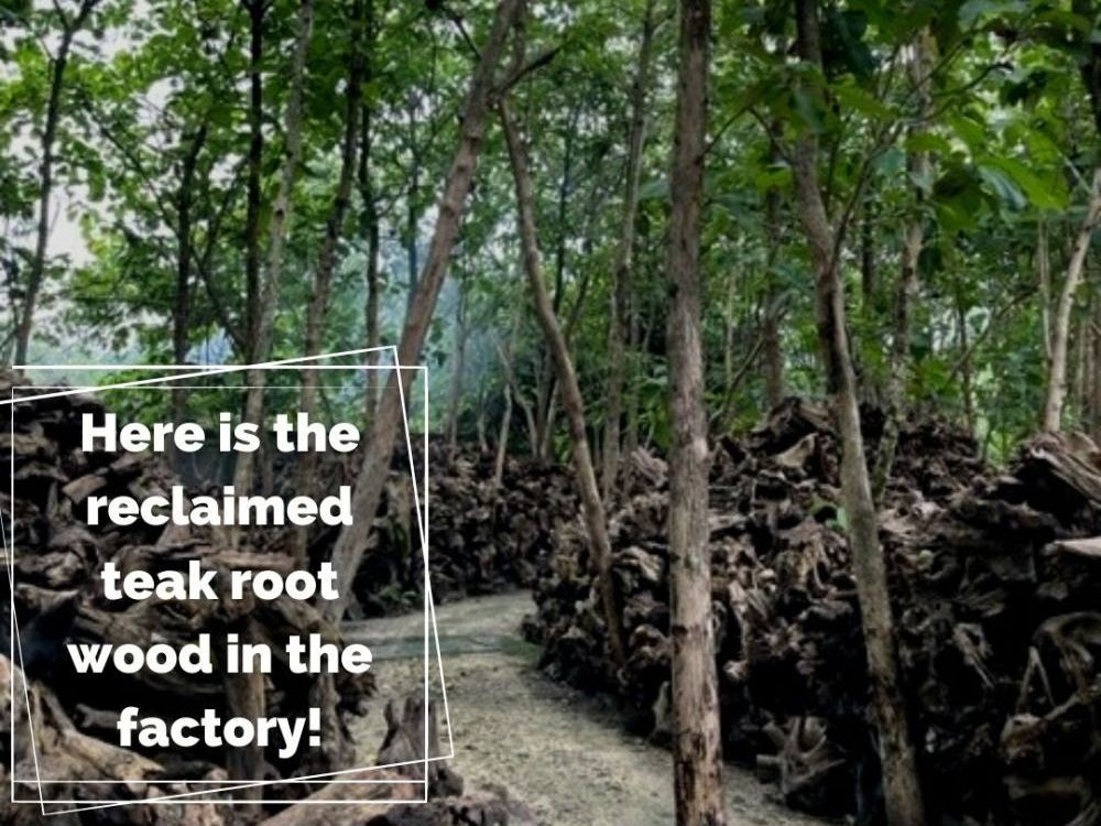 Bluma Floor Lamp 4 Shades -Garden Furniture Centre-Root,MidInstock,instock,MidRange,Accessories,Reclaimed Furniture,Indoor Lighting,Teak,Conservatory,Lights-{collection_title}