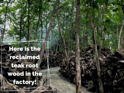 Bluma Floor Lamp 4 Shades -Garden Furniture Centre-Root,MidInstock,instock,MidRange,Accessories,Reclaimed Furniture,Indoor Lighting,Teak,Conservatory,Lights-{collection_title}