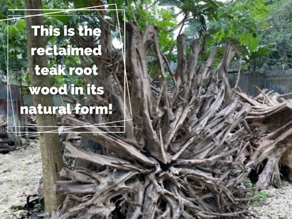 Bluma Floor Lamp 4 Shades -Garden Furniture Centre-Root,MidInstock,instock,MidRange,Accessories,Reclaimed Furniture,Indoor Lighting,Teak,Conservatory,Lights-{collection_title}