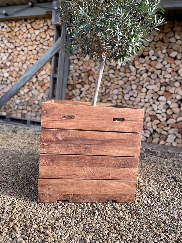 Reclaimed Teak Square Planter-Garden Furniture Centre-LowRange,Reclaimed Furniture,Accessories,Garden Planters-{collection_title}