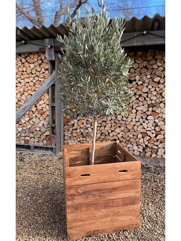 Reclaimed Teak Square Planter-Garden Furniture Centre-LowRange,Reclaimed Furniture,Accessories,Garden Planters-{collection_title}