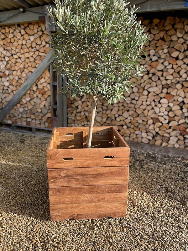 Reclaimed Teak Square Planter-Garden Furniture Centre-LowRange,Reclaimed Furniture,Accessories,Garden Planters-{collection_title}