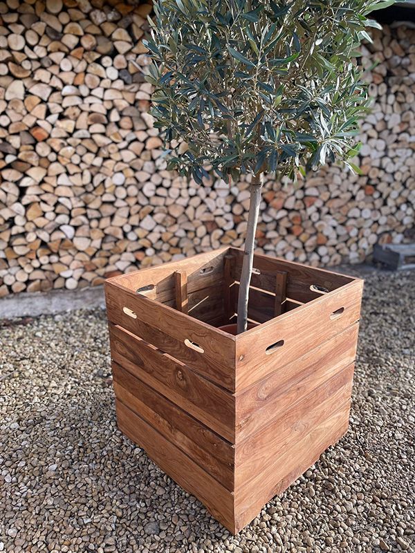 Reclaimed Teak Square Planter-Garden Furniture Centre-LowRange,Reclaimed Furniture,Accessories,Garden Planters-{collection_title}