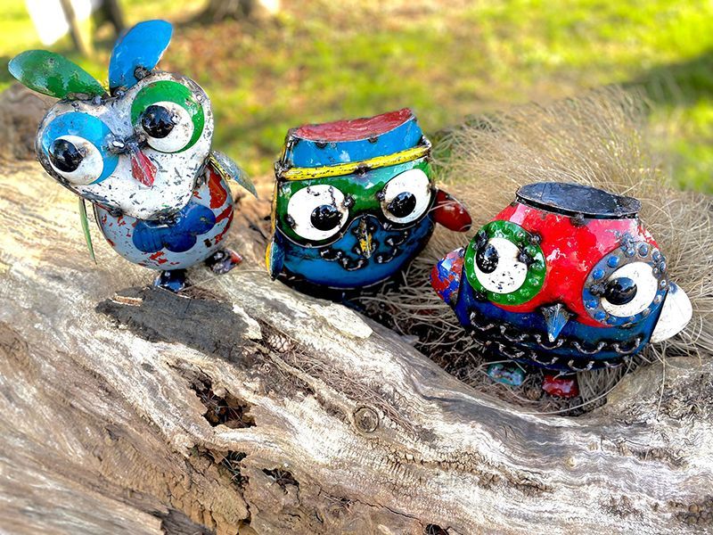 Owl Trio 