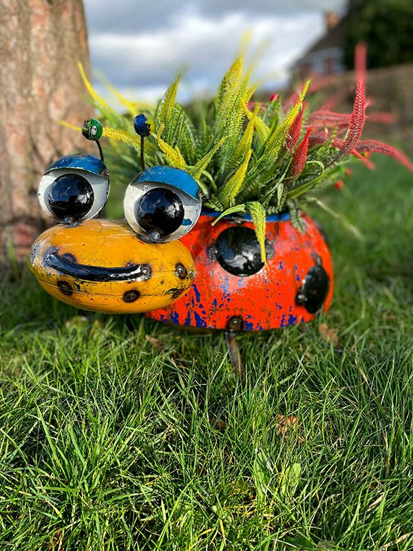 Lily The Lady Bug Planter