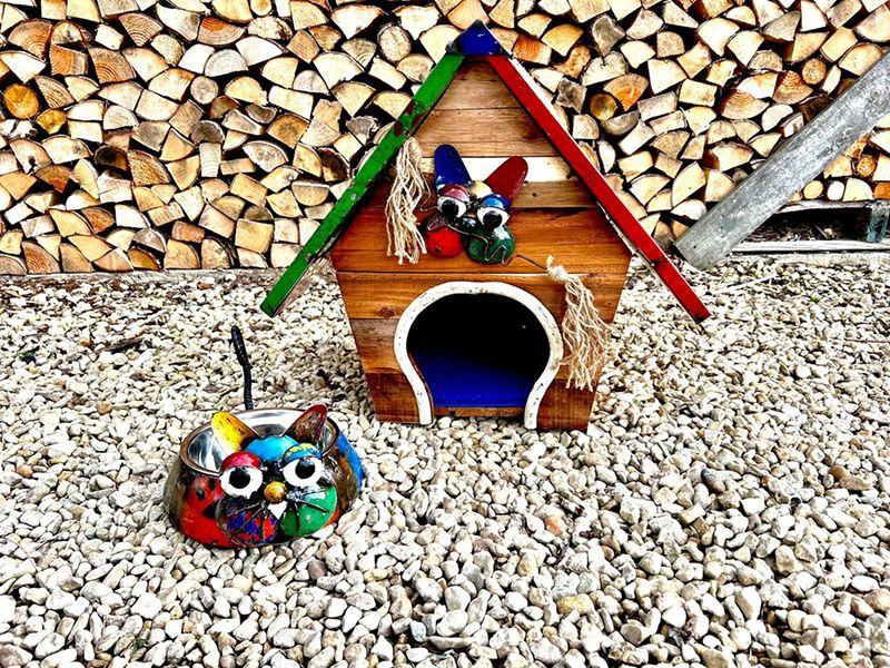 The Cat Scratch Palace