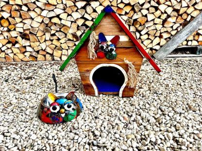 The Cat Scratch Palace