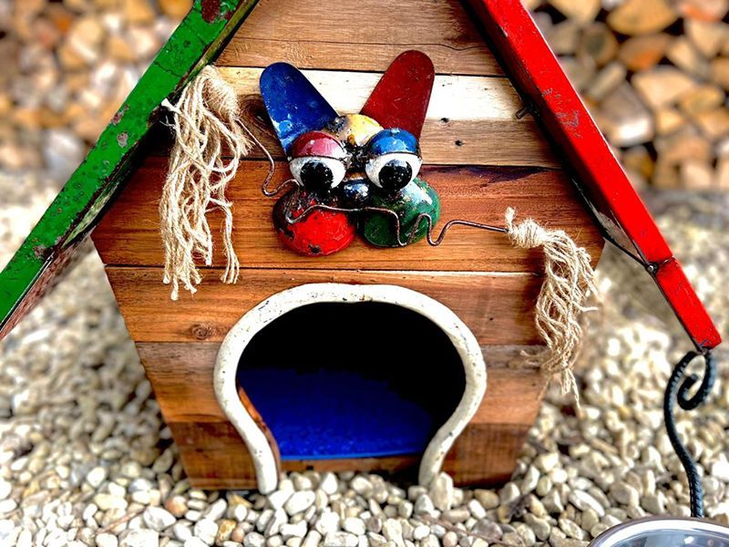 The Cat Scratch Palace-Garden Furniture Centre-48Hour Dispatch,LowRange,Under 100,Ornaments,Ranges,Think Outside Range,Metal Garden Ornaments,Think Outside Range Ranges,Gifts,Ornaments Accessories,Accessories,Pets & Wildlife-{collection_title}