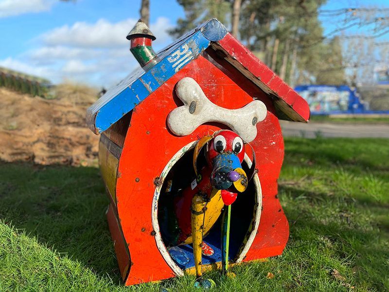 In The Dog House