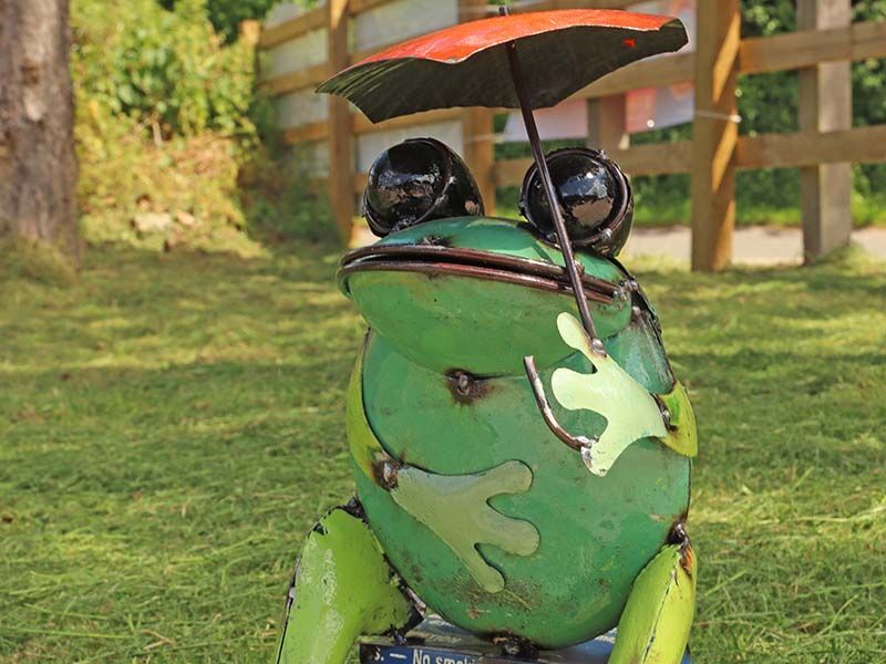 Sitting Frog With Umbrella 