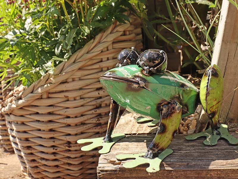 Pad Me Pond Frog -Garden Furniture Centre-48Hour Dispatch,LowRange,Under 100,Ornaments,Ranges,Animal Garden Ornaments,Think Outside Range,Metal Garden Ornaments,Think Outside Range Ranges,Gifts,Ornaments Accessories,Accessories-{collection_title}