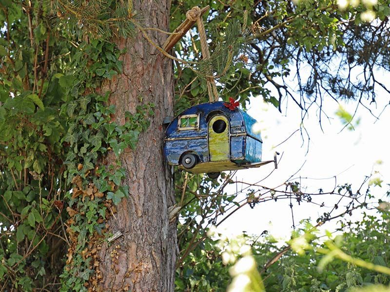 Bird Holiday-Garden Furniture Centre-Birdhouses & Bird Boxes,48Hour Dispatch,LowRange,Under 100,Information,Amazon Trade Account,Ornaments,Ranges,Think Outside Range,Metal Garden Ornaments,Hanging Garden Ornaments,Think Outside Range Ranges,Gifts,Pets & Wildlife Accessories,Accessories,Pets & Wildlife-{collection_title}