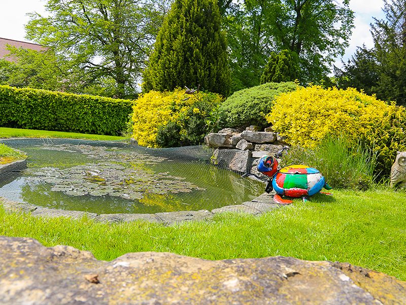 Terence The Turtle Drinks Cooler Green
