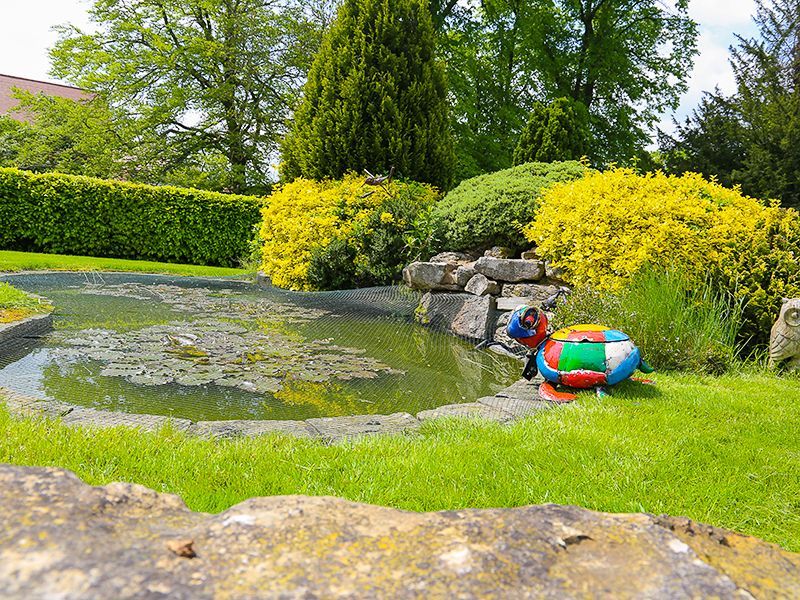 Terence The Turtle Drinks Cooler Green