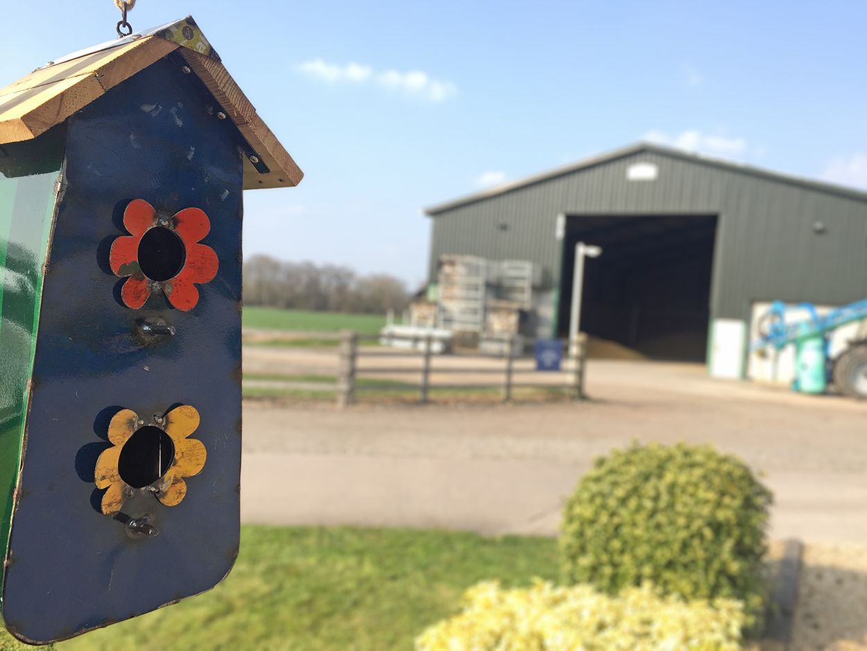Twos Getaway Bird House