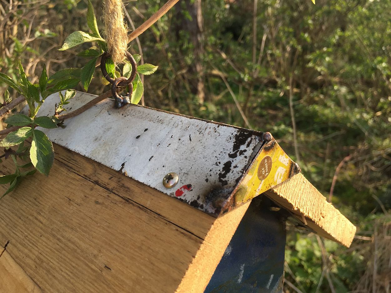 Twos Getaway Bird House-Garden Furniture Centre-48Hour Dispatch,LowRange,Under 100,Information,Amazon Trade Account,Ornaments Accessories,Ornaments,Ranges,Think Outside Range,Metal Garden Ornaments,Hanging Garden Ornaments,Think Outside Range Ranges,Gifts,Pets & Wildlife Accessories,Birdhouses & Bird Boxes,Accessories,Pets & Wildlife-{collection_title}