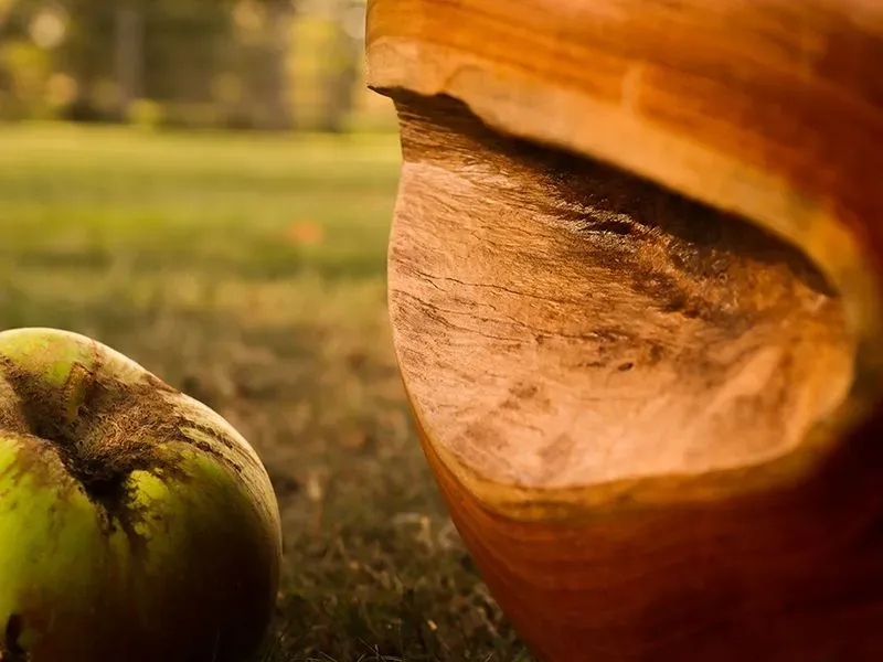 Apple Wooden Ornament-Garden Furniture Centre-Root,48Hour Dispatch,LowRange,Under 100,Information,Ornaments Accessories,Accessories,Ornaments,Reclaimed Furniture,Wooden Garden Ornaments,Accessories Sale,Mother's Day-{collection_title}