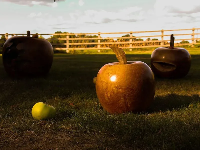 Apple Wooden Ornament-Garden Furniture Centre-Root,48Hour Dispatch,LowRange,Under 100,Information,Ornaments Accessories,Accessories,Ornaments,Reclaimed Furniture,Wooden Garden Ornaments,Accessories Sale,Mother's Day-{collection_title}