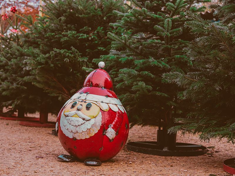 Festive Santa Sculpture Large
