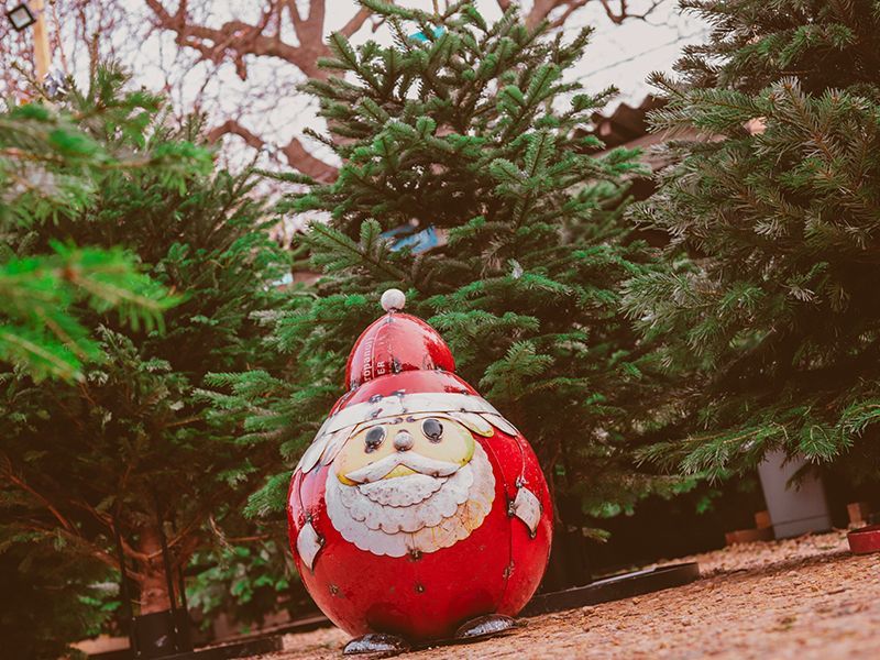 Festive Santa Sculpture Large