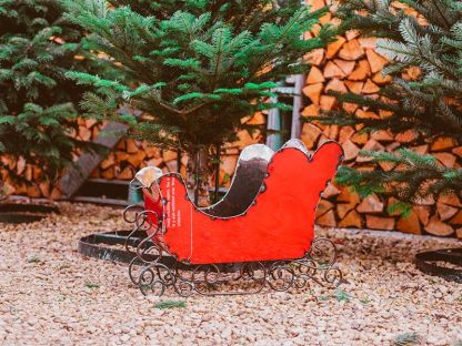 Mini Sleigh