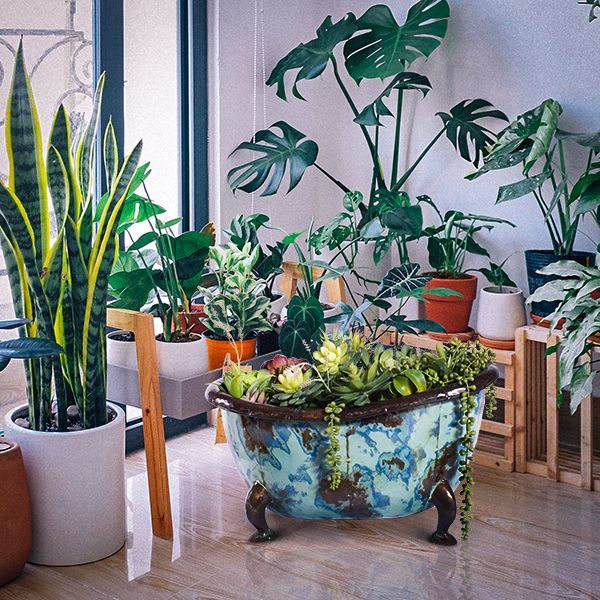 Rub A Dub Tubs-Garden Furniture Centre-48Hour Dispatch,MidInstock,instock,LowRange,MidRange,Under 100,Think Outside Range,Garden Planters,Think Outside Range Ranges,Ornaments Accessories,Accessories-{collection_title}