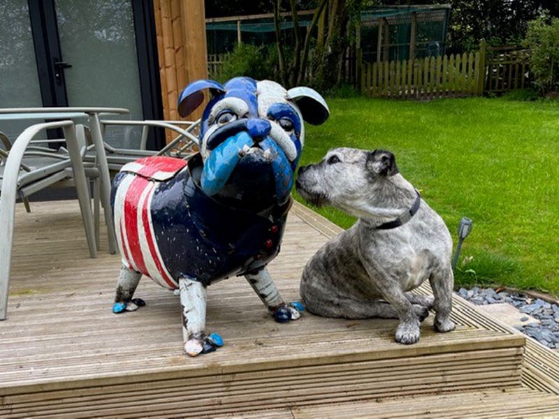 Winston The Bull Dog | Drinks Cooler | Queens Jubilee – Garden