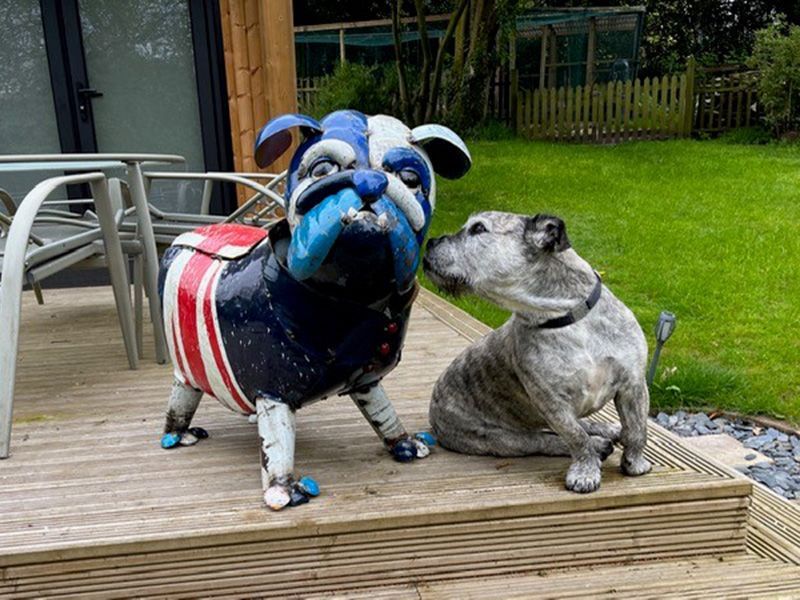 Winston The Bull Dog -Garden Furniture Centre-MidInstock,instock,MidRange,Union,Ornaments Accessories,Ornaments,Accessories,Ranges,Animal Garden Ornaments,Think Outside Range,Metal Garden Ornaments,Novelty Drinks Coolers,Think Outside Range Ranges,Coronation Range-{collection_title}