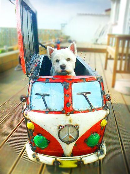 Kool Kombi Cooler 