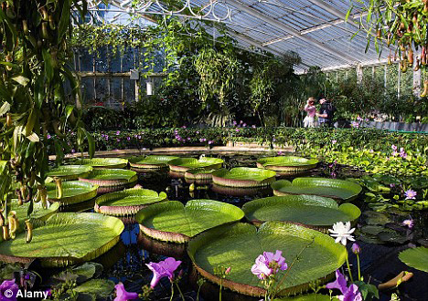 kew