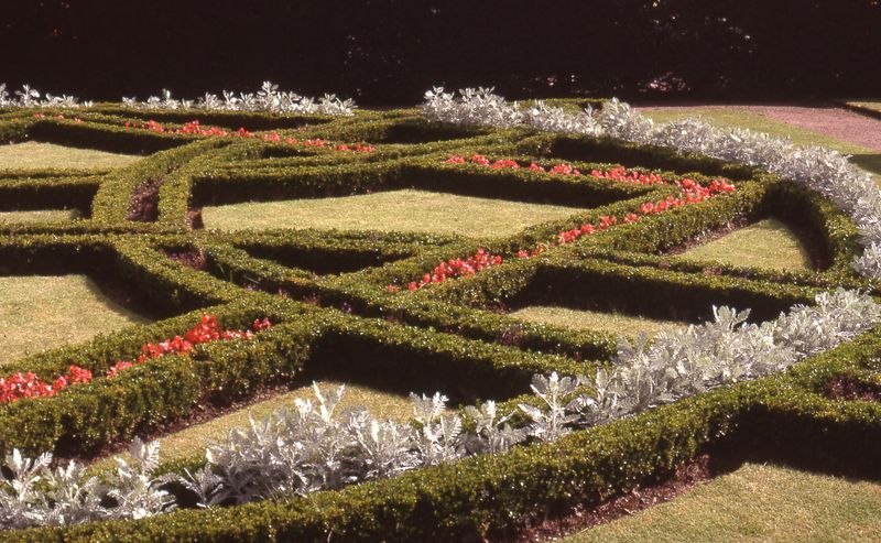 Knot garden