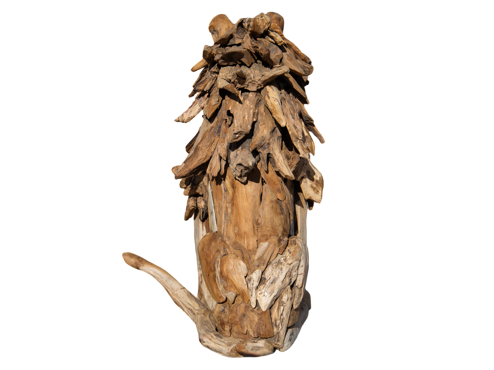 Leo The Teak Lion