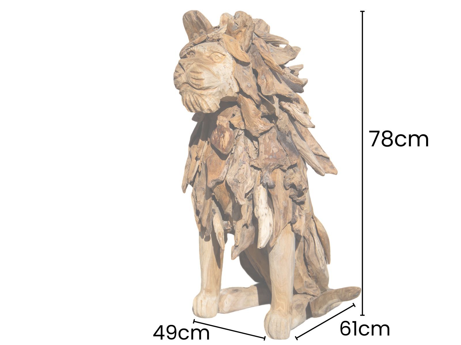 Leo The Teak Lion
