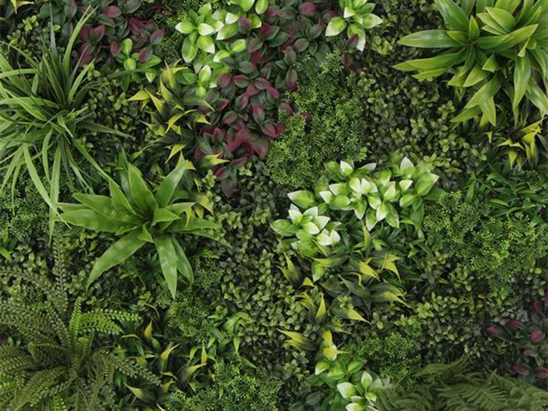 Living Wall Tile | Austria | 1m x 1m-Garden Furniture Centre-LowRange,Under 100,Wall Panels,48Hour Dispatch-{collection_title}