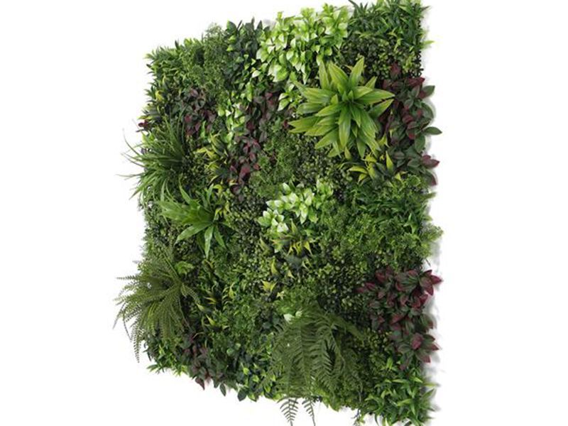 Living Wall Tile | Canada | 1m x 1m-Garden Furniture Centre-LowRange,Under 100,Wall Panels,48Hour Dispatch-{collection_title}