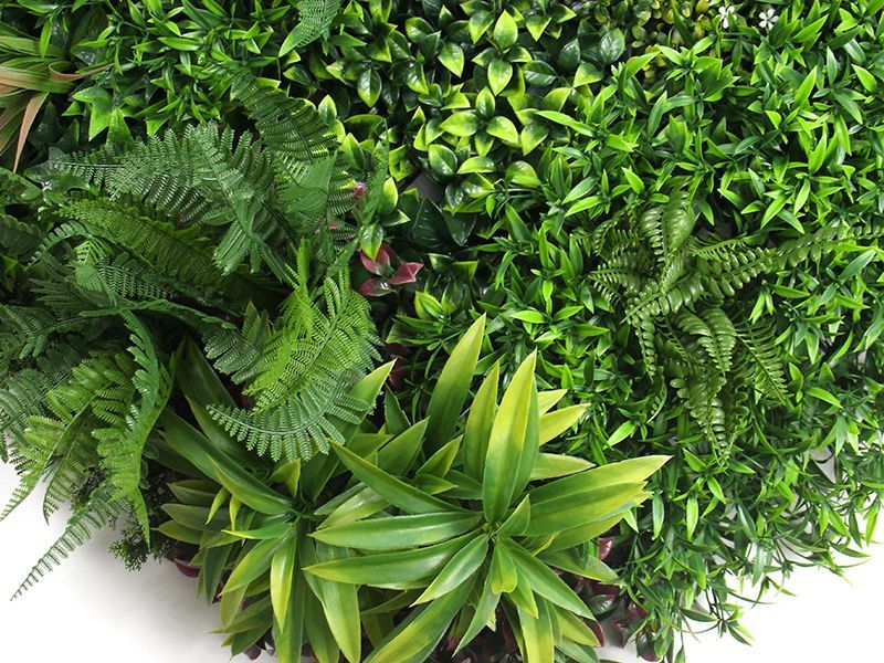 Living Wall Tile | Mixed | 1m x 1m