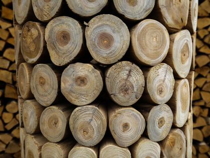 Log Bowl Teak Planter