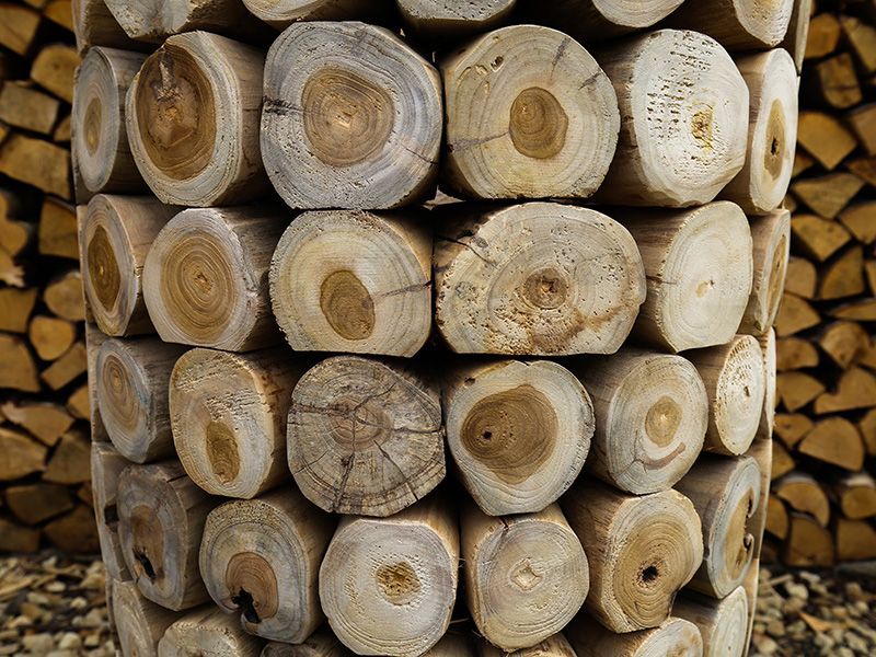Log Bowl Teak Planter