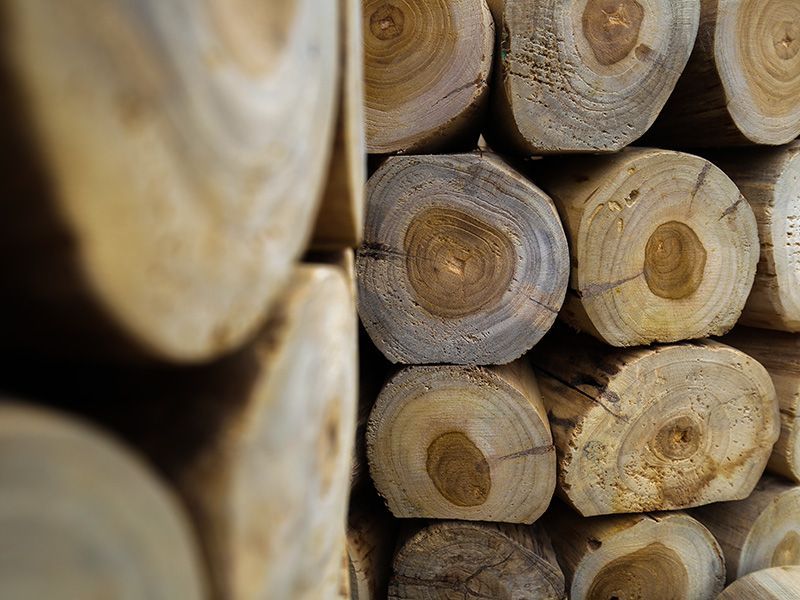 Log Bowl Teak Planter
