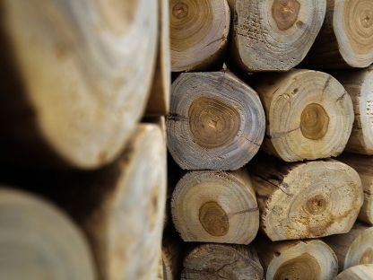 Log Bowl Teak Planter