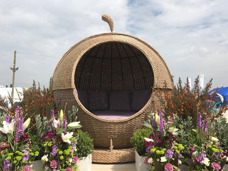 Montana Apple Day Bed