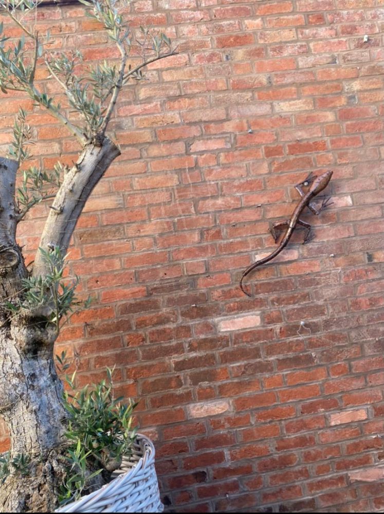 Monitor Lizard-Garden Furniture Centre-48Hour Dispatch,LowRange,Under 100,Ornaments,Ranges,Animal Garden Ornaments,Think Outside Range,Metal Garden Ornaments,Hanging Garden Ornaments,Think Outside Range Ranges,Gifts,Ornaments Accessories,Accessories-{collection_title}