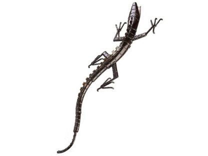 Monitor Lizard