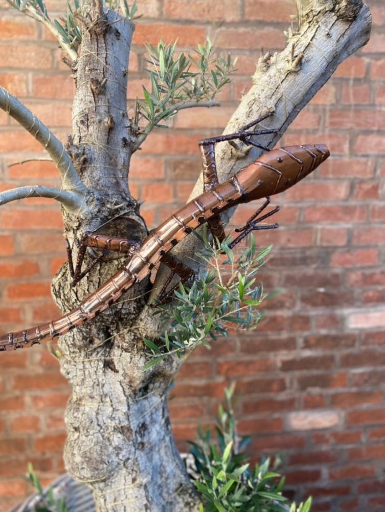 Monitor Lizard-Garden Furniture Centre-48Hour Dispatch,LowRange,Under 100,Ornaments,Ranges,Animal Garden Ornaments,Think Outside Range,Metal Garden Ornaments,Hanging Garden Ornaments,Think Outside Range Ranges,Gifts,Ornaments Accessories,Accessories-{collection_title}