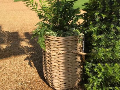 Montana Basket