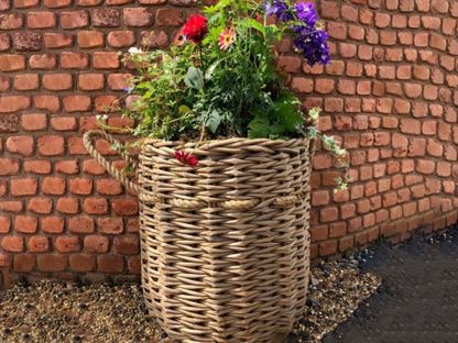 Montana Basket